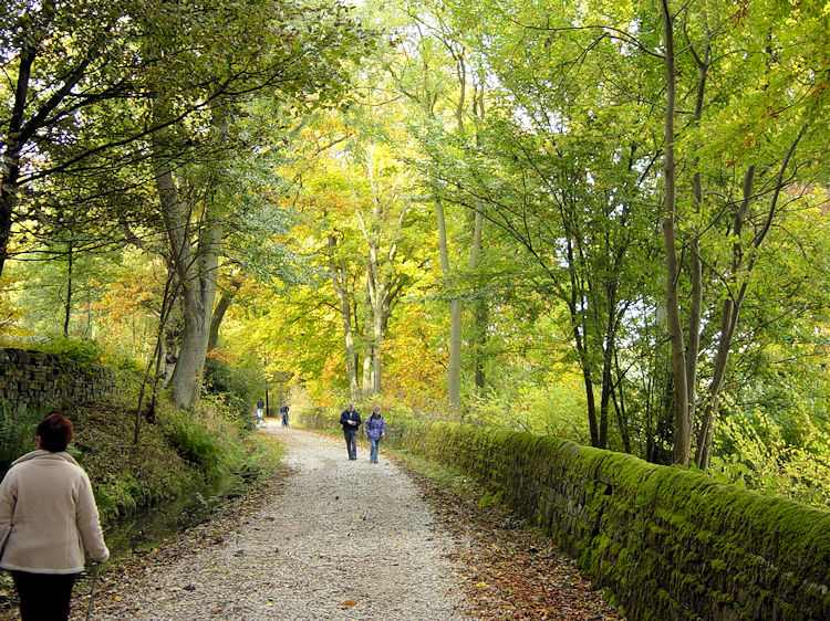 Near Swinsty Hall