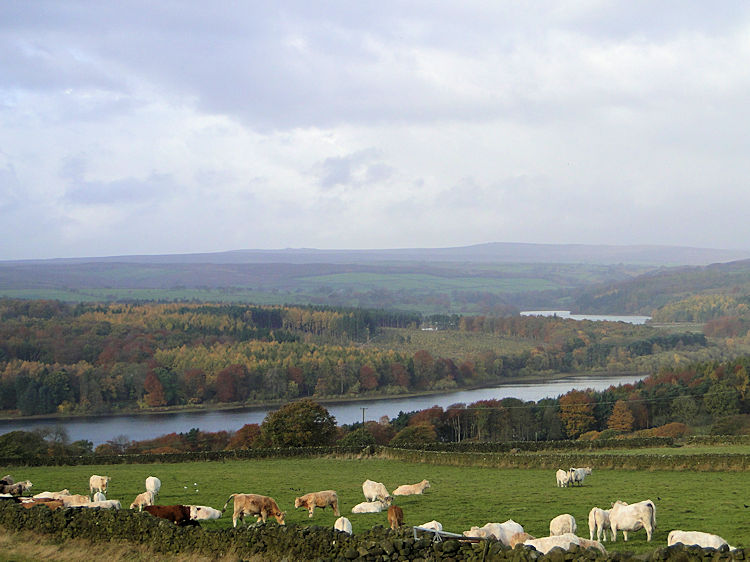 Swinsty Reservoir and Fewston Reservoir