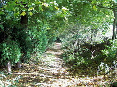 Walking by Ingram Whinn near Kirkby Overblow