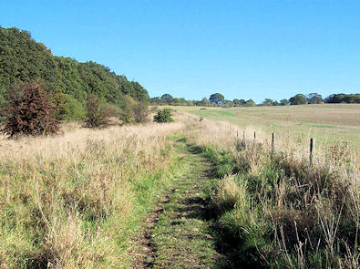 A lovely day walking on the edge of Addlethorpe Wood