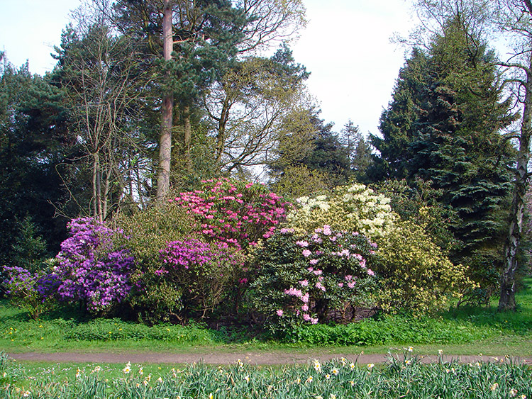 Blazes of colour in Valley Gardens