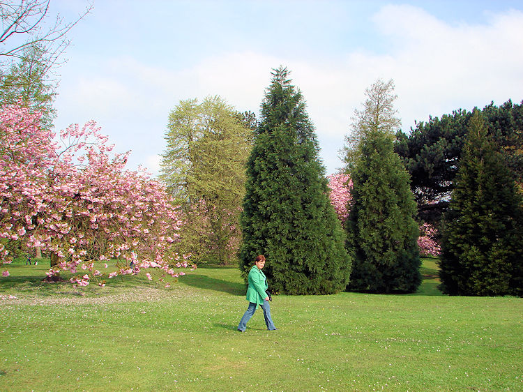 Walking through Valley Gardens