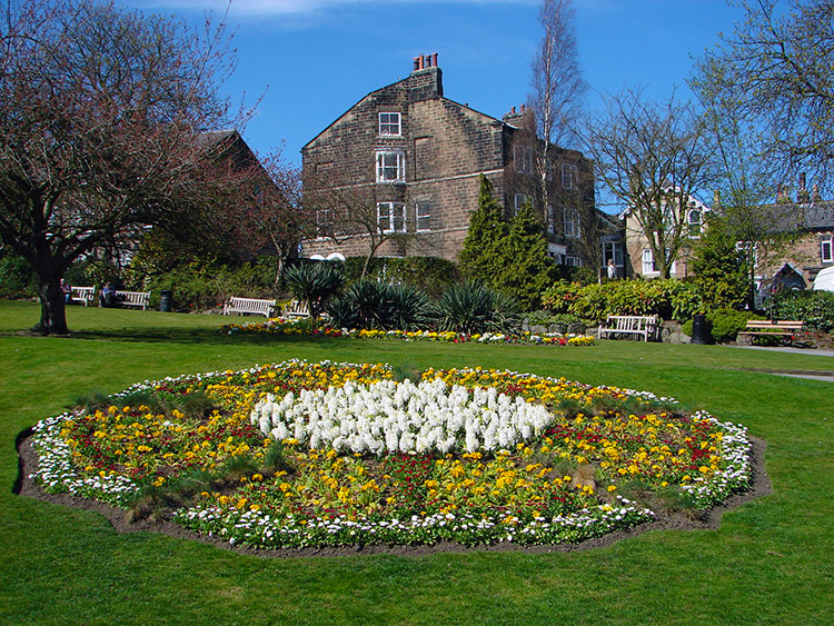 A wonderful floral arrangement in Valley Gardens