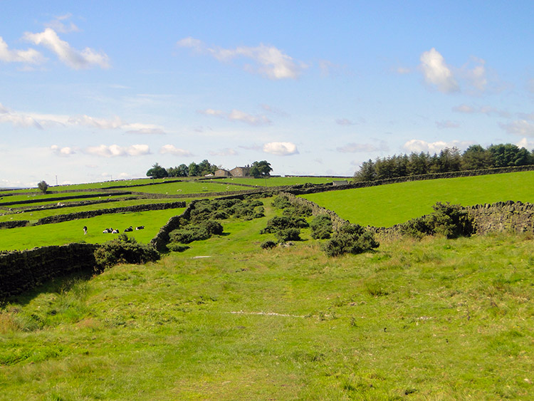 Silsden Moor