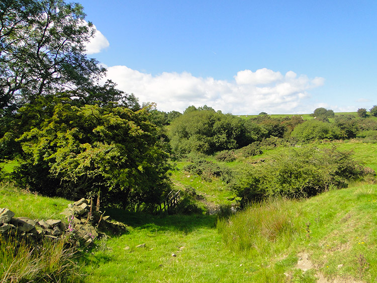 Cowburn Beck near Walton Hole