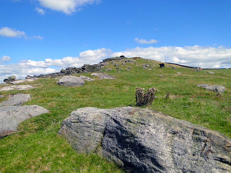 Climbing to Burn Bank