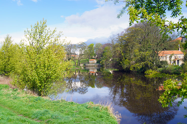 Wetherby Ings