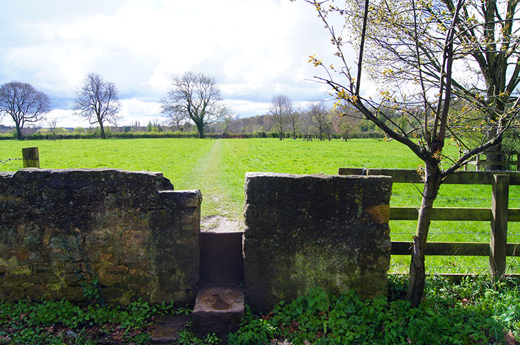 Countryside between Wetherby and Linton