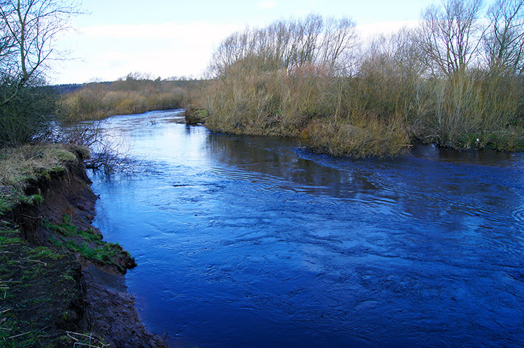 River Wharfe near Carlston Hill