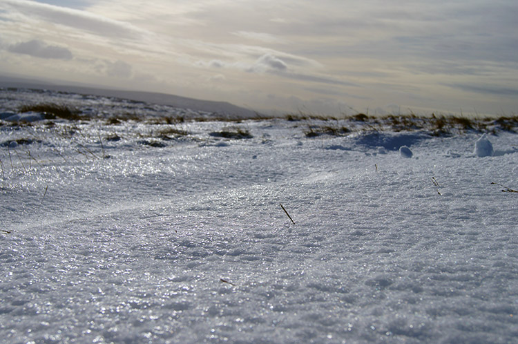 Snowscape