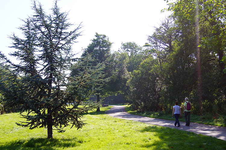 Following the path to Golden Acre Lake