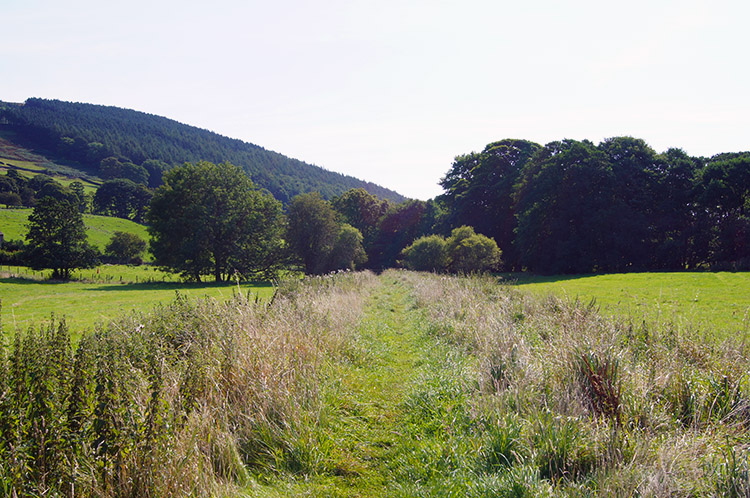 Following a clear track towards Low Sikes