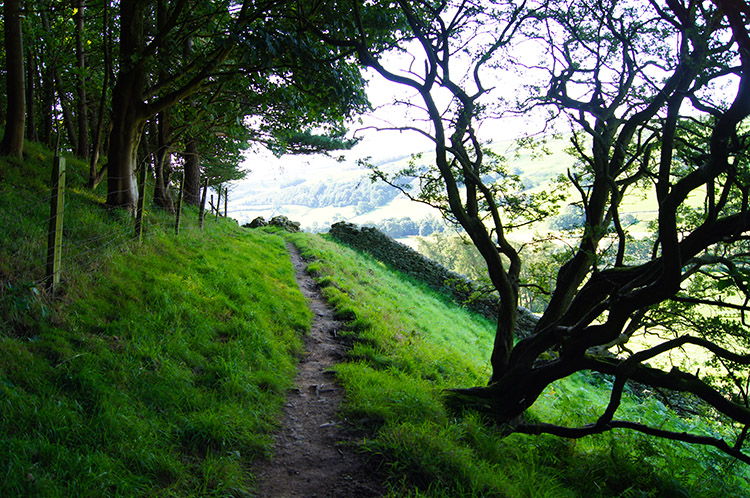 On the path towards Bouthwaite