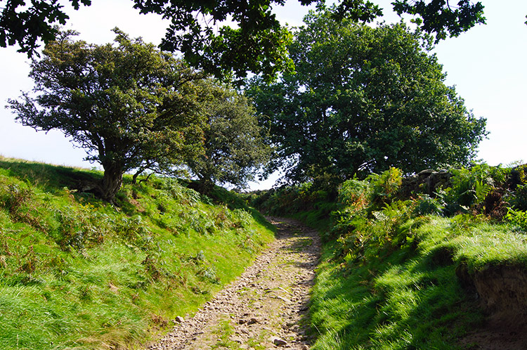 The climb toward Fountains Earth Moor