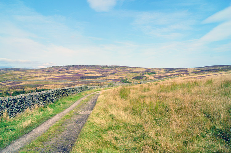 Looking across Fountains Earth Moor to Sypeland Crags