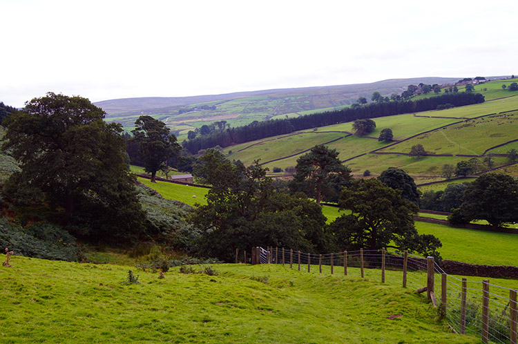 Off the edge and heading towards Thrope Lane