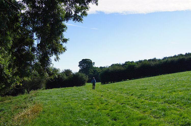 Dave leads the way east towards Burton Leonard