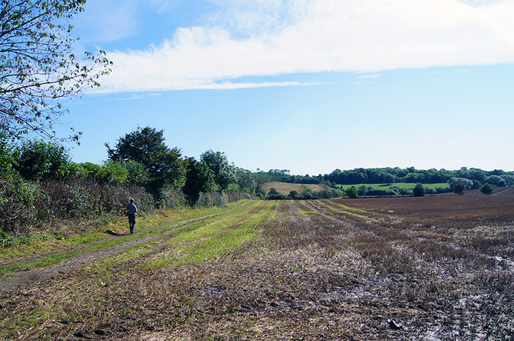 Recent crop fields, now stubble