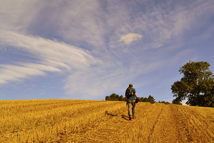 Climbing towards Jackson's Wood