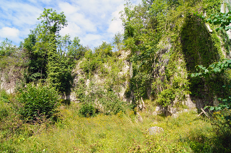 Burton Leonard Lime Quarries