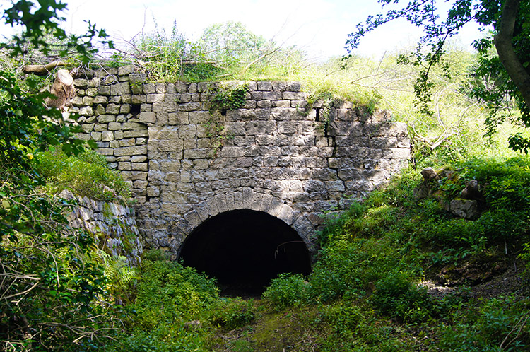 Lime Kiln in Burton Leonard Lime Quarries