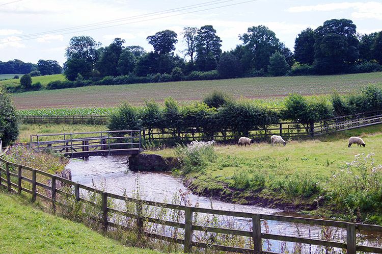 Crossing of Stainley Beck at Mickle Hill
