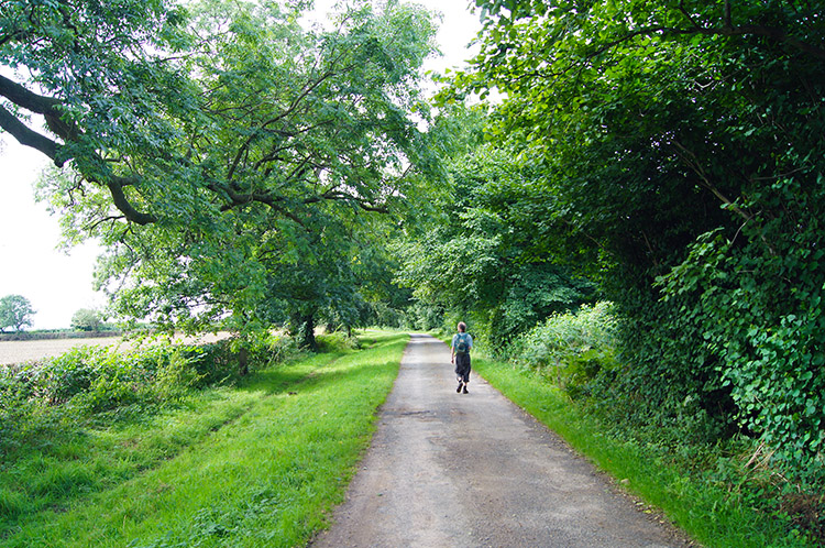 Dave follows the Ripon Rowel