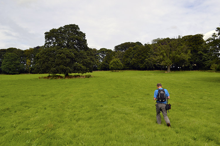 Crossing fields towards Stainley House