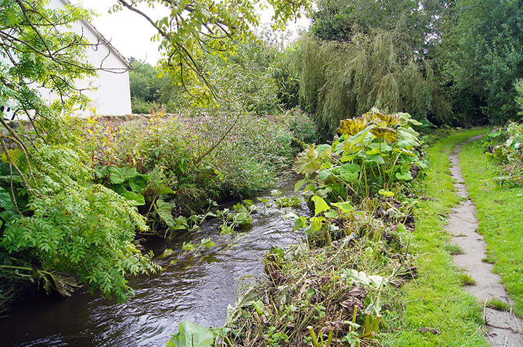 Back into South Stainley along the village beck