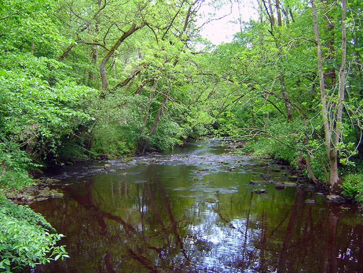 River Burn near Swinton Saw Mill