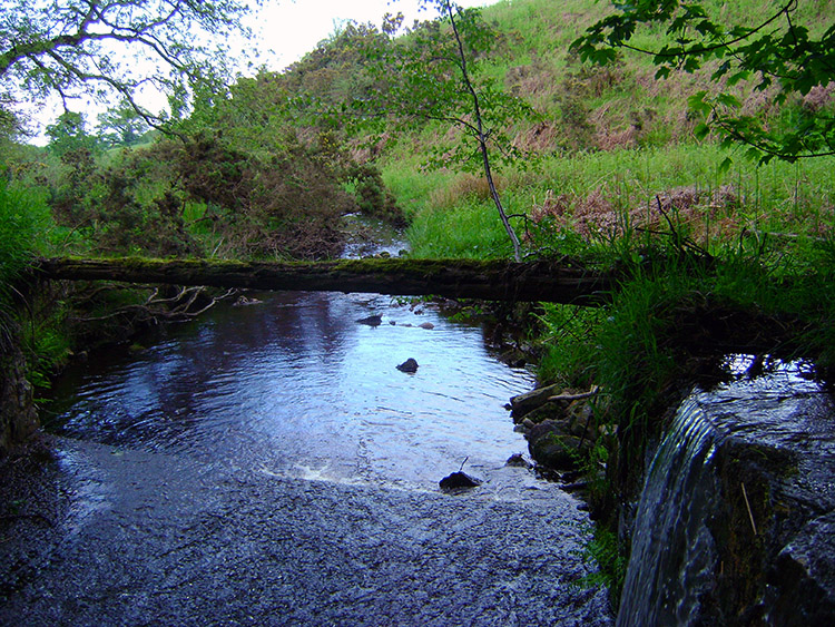 Pott Beck which leads into the River Burn