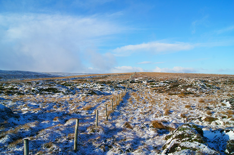 The fence line to follow