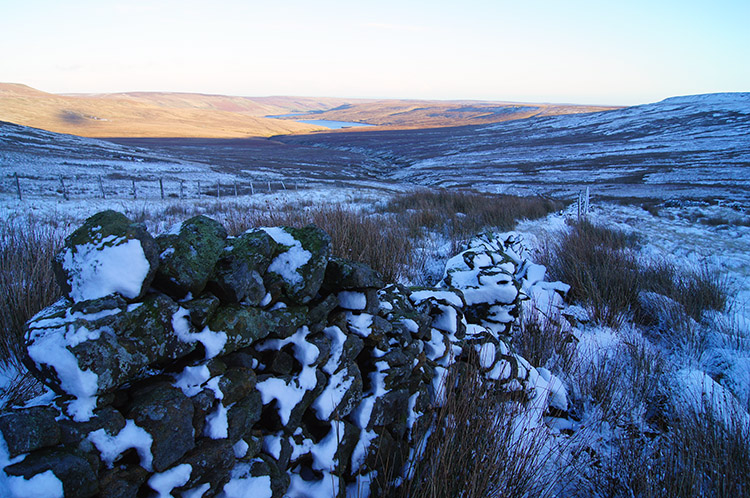 Following the wall beside the evolving river