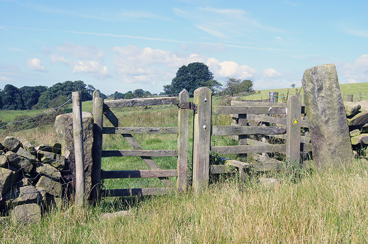 Gate near Central House Farm