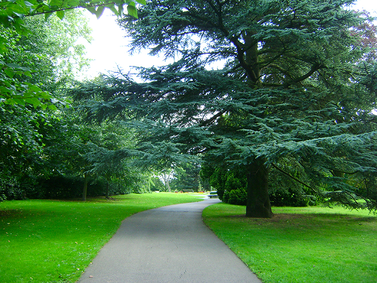 Walking into Roundhay Park