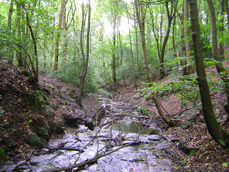 The Gorge in Roundhay Park