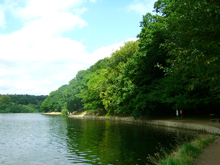 The east shore path