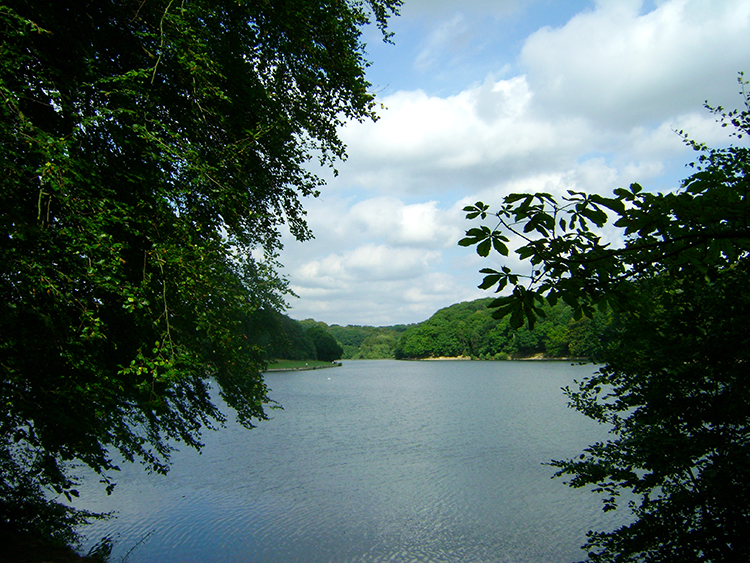 Great view across Waterloo Lake