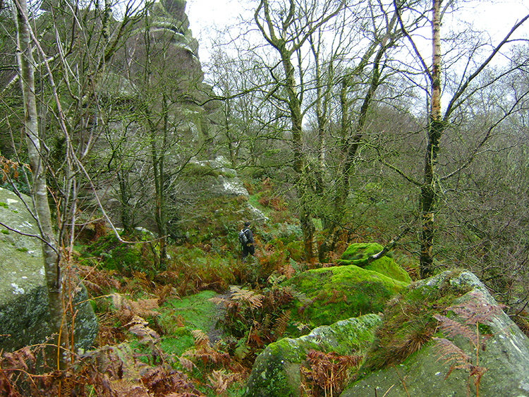 Threading our way through Brimham Rocks