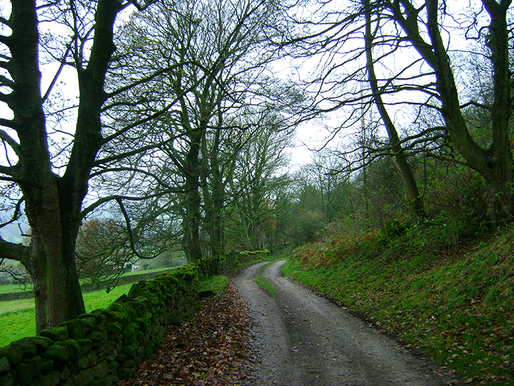 Nidderdale Way