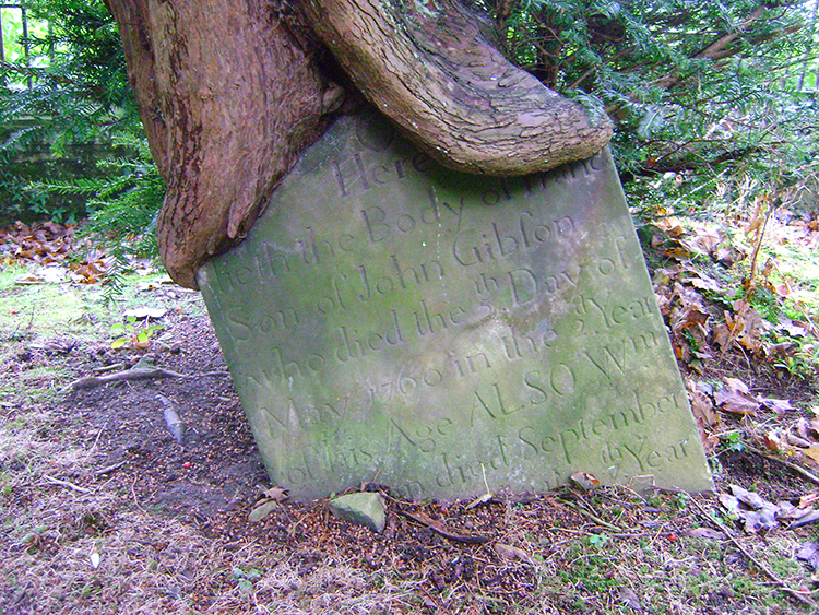 Tree and Gravestone