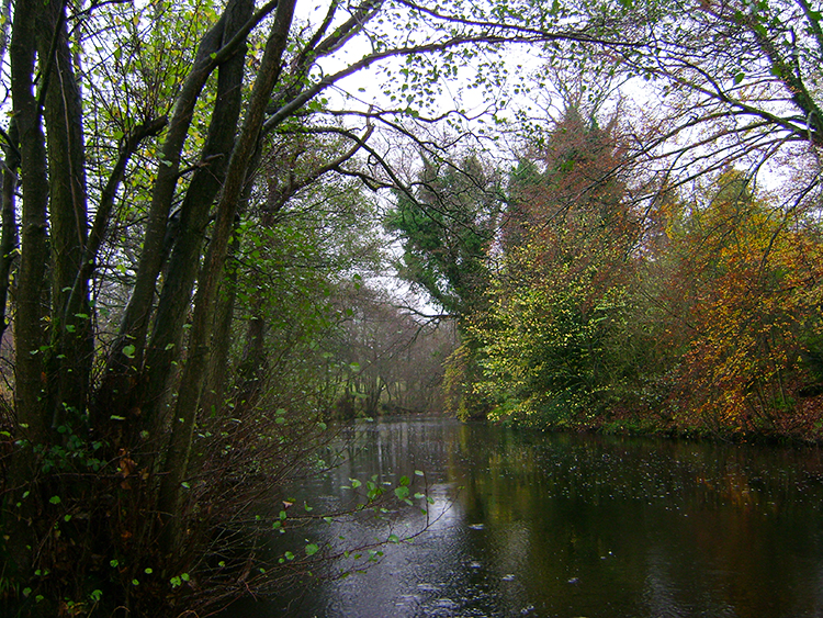 River Nidd