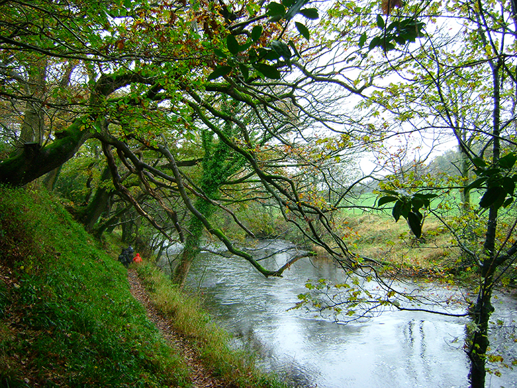 The Nidd riverside path