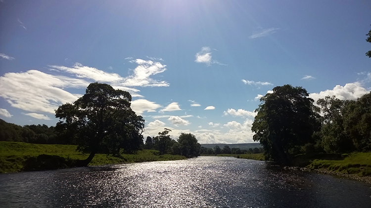 The shimmering Wharfe