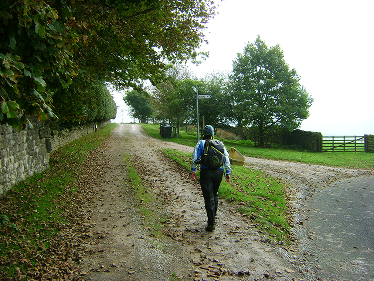 On the lane to Beacon Hill House