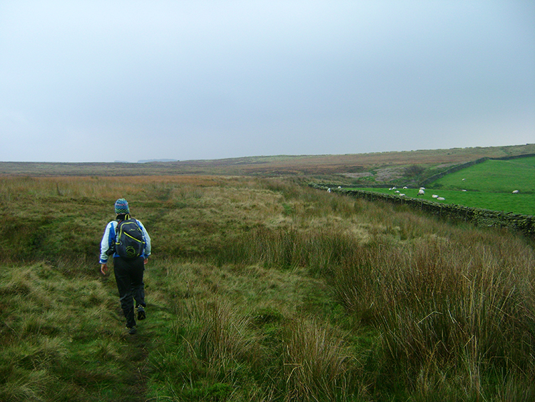 Crossing Badgers Gate