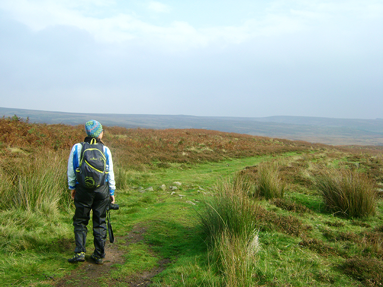 On Middleton Moor