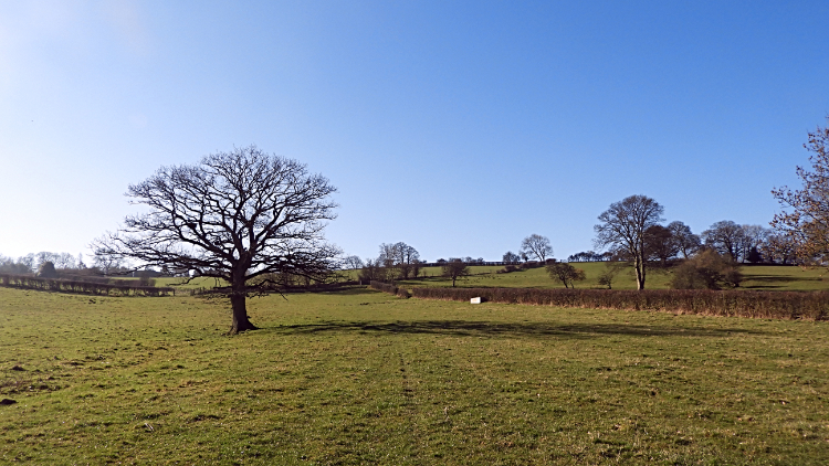 Climbing to Brackenthaite Lane