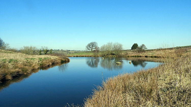 North Rigton Pond