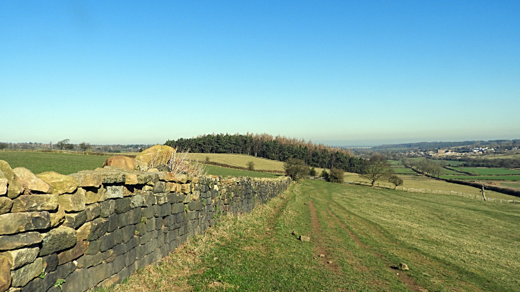 View from Horn Bank to Warren Plantation